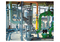 Vertical Centrifugal Pumps